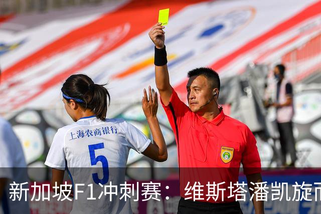 新加坡F1冲刺赛：维斯塔潘凯旋而归，九辆赛车因故退赛